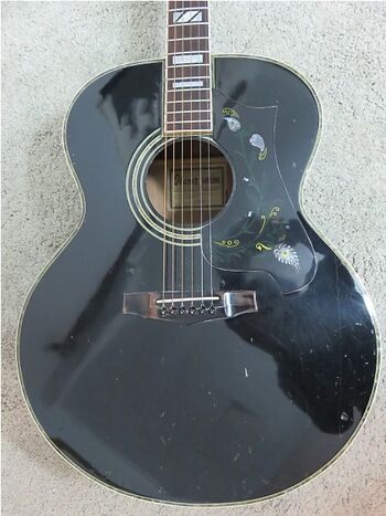 ボンボン　ぺージ JMJ53-ASH-DE-M / FGN Guitars