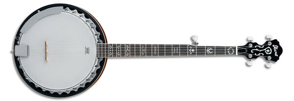 Mb 200 banjo outlet
