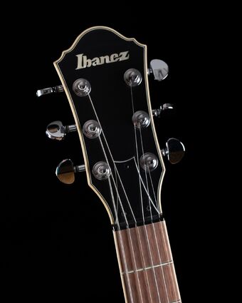 DN600 | Ibanez Wiki | Fandom