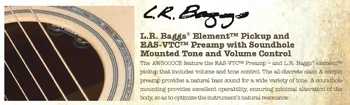 LRBaggs-Element EAS-VTC-preamp