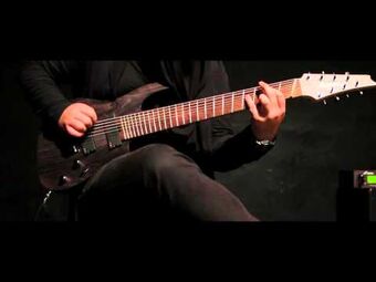 Ibanez rgif8 online