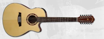 AEF1812 | Ibanez Wiki | Fandom