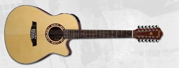 AEF1812 | Ibanez Wiki | Fandom