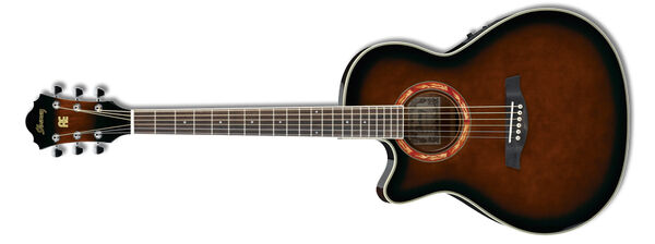 Ibanez エレアコ　AEL60SE-NT-3T-01 アイバニーズ Ibanez エレアコ AEL60SE-NT-3T-01