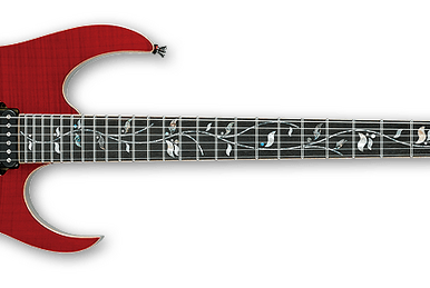 ギター Ibanez RG721MFMA RG721MFMA | Ibanez Wiki | Fandom