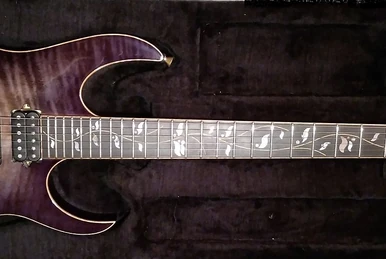 RG380DX | Ibanez Wiki | Fandom