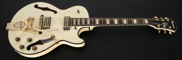 AGR73T | Ibanez Wiki | Fandom