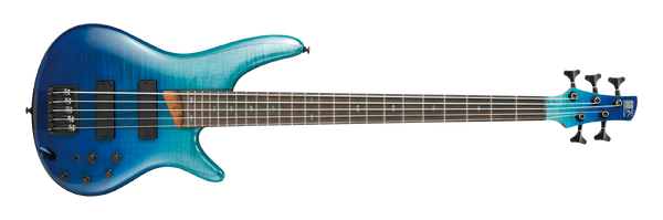 Ibanez sr876 deals