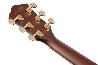 AEWC12 | Ibanez Wiki | Fandom