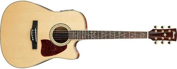 AW140QMECE | Ibanez Wiki | Fandom