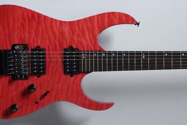 RG2820CT | Ibanez Wiki | Fandom