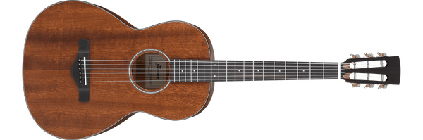 AVN9 | Ibanez Wiki | Fandom