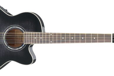 ギター Ibanez AEL12ERLG1201 latest?cb=20220826203801