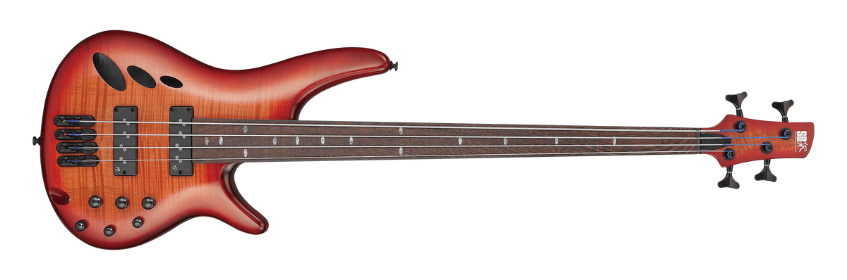 【ストラップ、9v付属8579】 Ibanez SR300E SDGR ストラップ、9v付属8579】 Ibanez SR300E SDGR