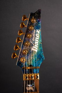 JCRG2007 Headstock.jpg