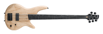 Ibanez gwb1005 deals