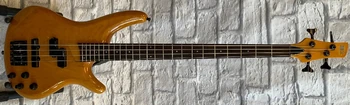 SR600-NTM