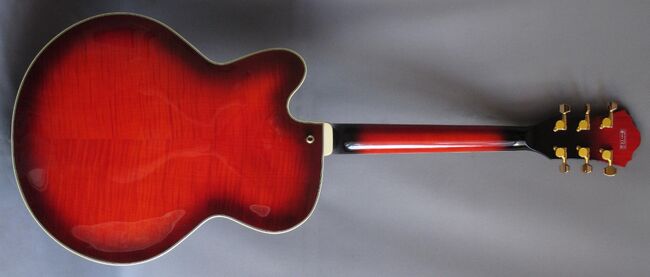 Ibanez artcore online afj81