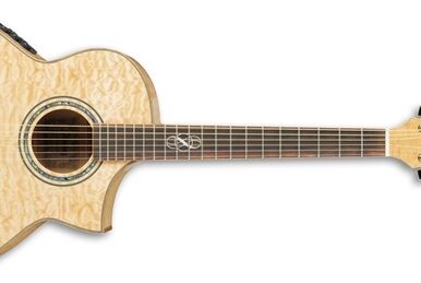 AEW40ZW Ibanez Wiki Fandom