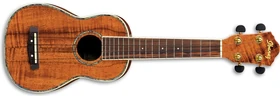 2009 UKS50 3T 01
