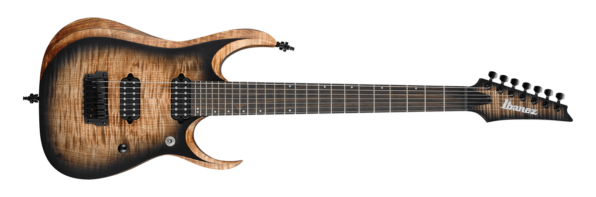 7弦ギター再び！ Ibanez RGD71AL レビューと整備 | しわすはやさ