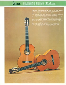 1973 Classical guitars front-cover