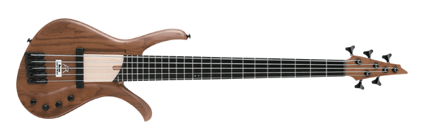 Ibanez afr 5 deals