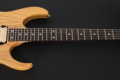 PGM10TH | Ibanez Wiki | Fandom