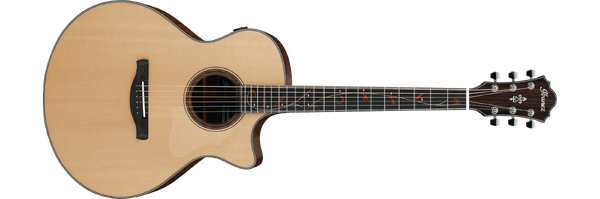 AE325 Ibanez Wiki Fandom