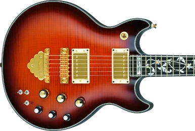 AW300ECE (2005–2006) | Ibanez Wiki | Fandom