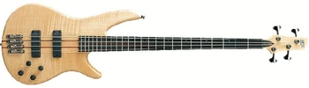 SR1000EFM-NTF