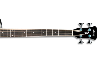 AEW23ZW | Ibanez Wiki | Fandom