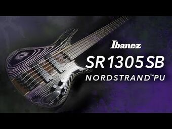 Ibanez sr1305sb deals