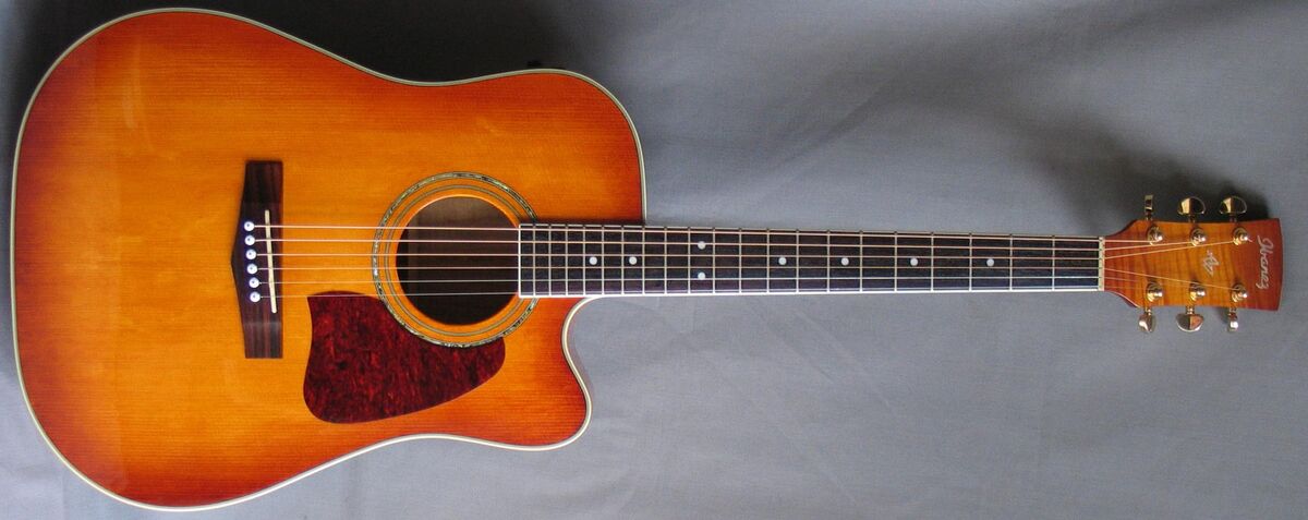 Ibanez artwood aw200 discount