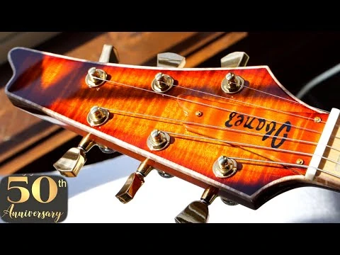 I_WON_THE_LOTTERY!_-_2022_Ibanez_50th_Anniversary_Hoshino_USA_LACS5_Root_Beer_Float_Iceman_Review