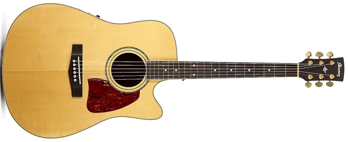 AW100ECE | Ibanez Wiki | Fandom