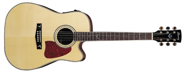 AW300ECE (2005–2006) | Ibanez Wiki | Fandom
