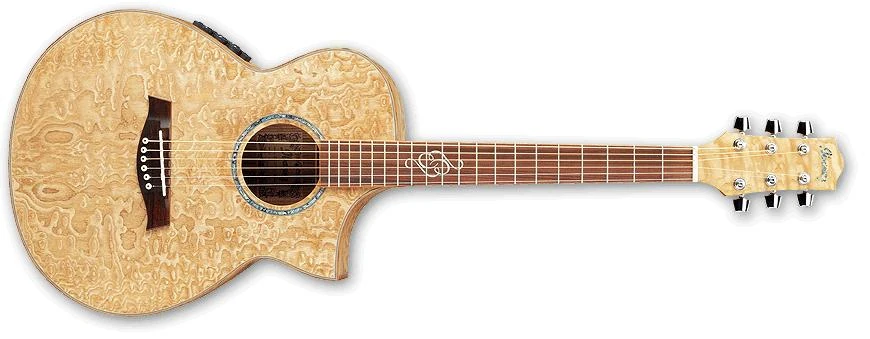 EW20ASE | Ibanez Wiki | Fandom