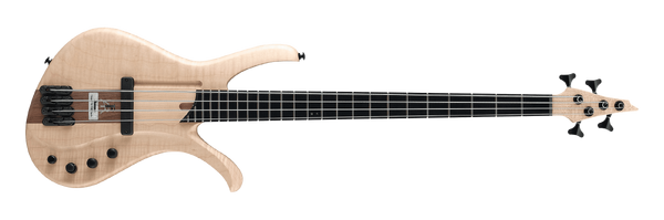 AFR4FMP | Ibanez Wiki | Fandom