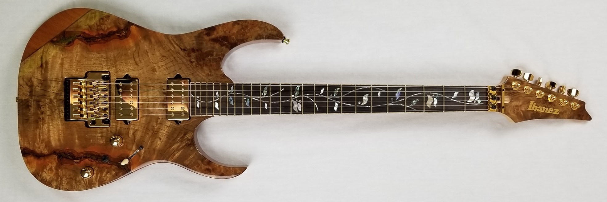 RG8520LTD | Ibanez Wiki | Fandom