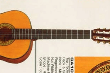 Ibanez ga30 2025