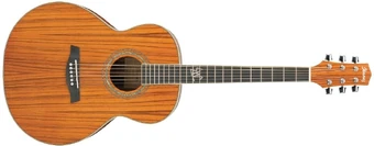 EW20ZW | Ibanez Wiki | Fandom