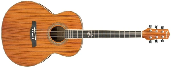 EW20ZW | Ibanez Wiki | Fandom