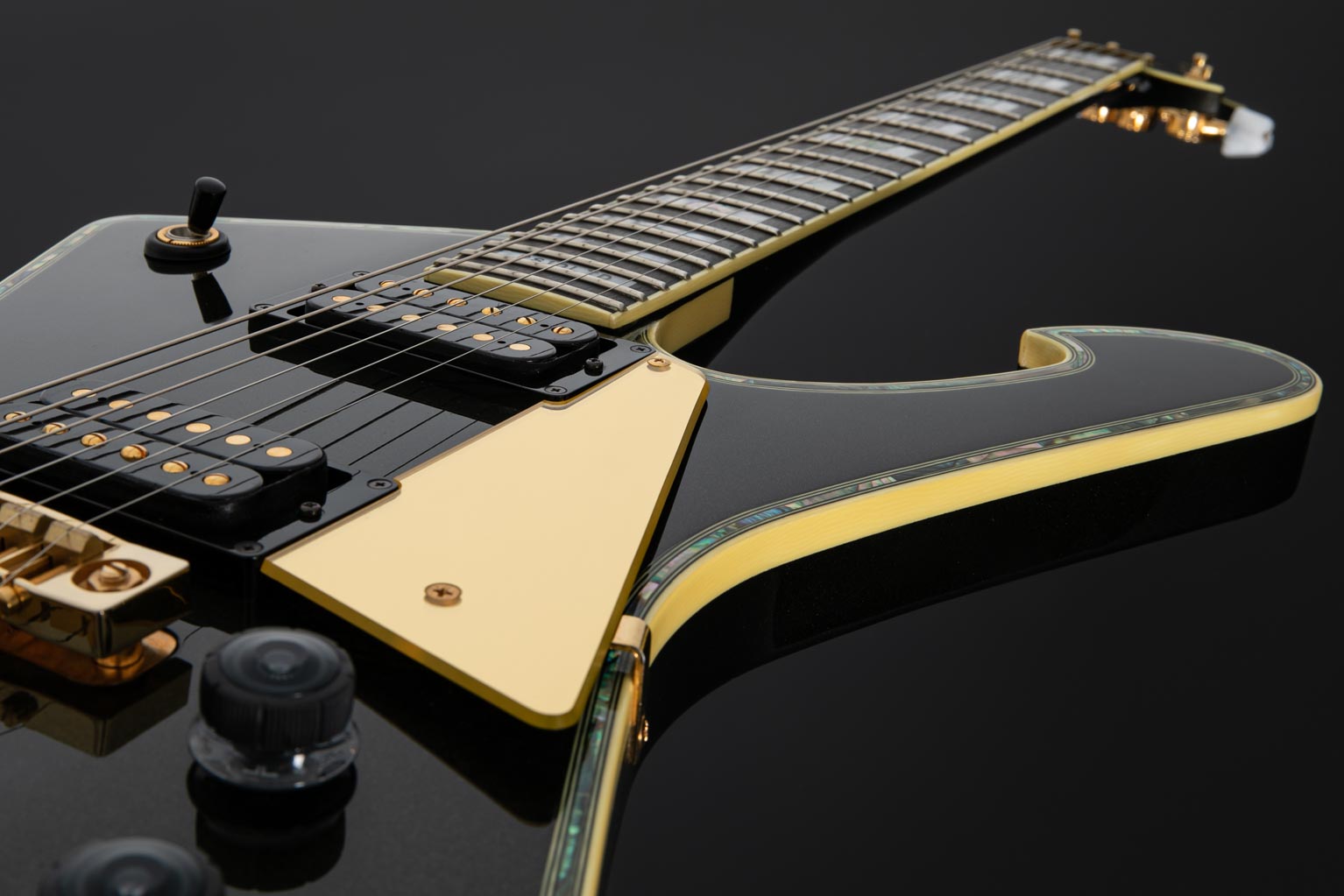 PS10LTD | Ibanez Wiki | Fandom