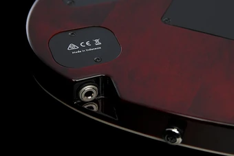 KIKO10BP | Ibanez Wiki | Fandom