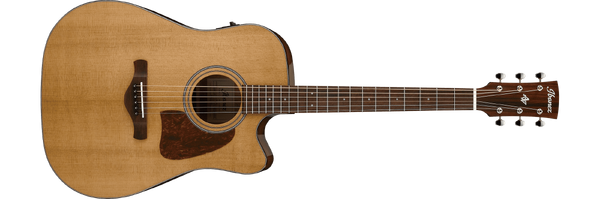 Ibanez artwood dreadnought deals