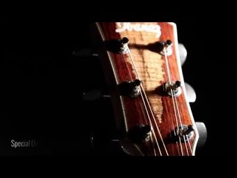 AEW51 | Ibanez Wiki | Fandom