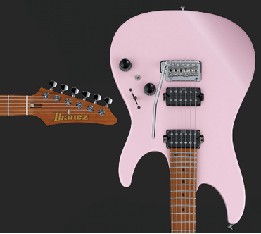 Ibanez store collectors world