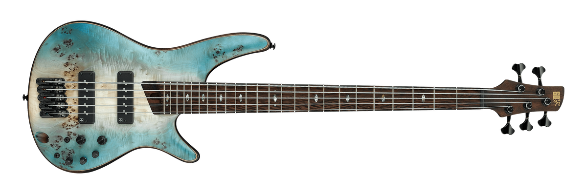 Ibanez premium sr1605b discount
