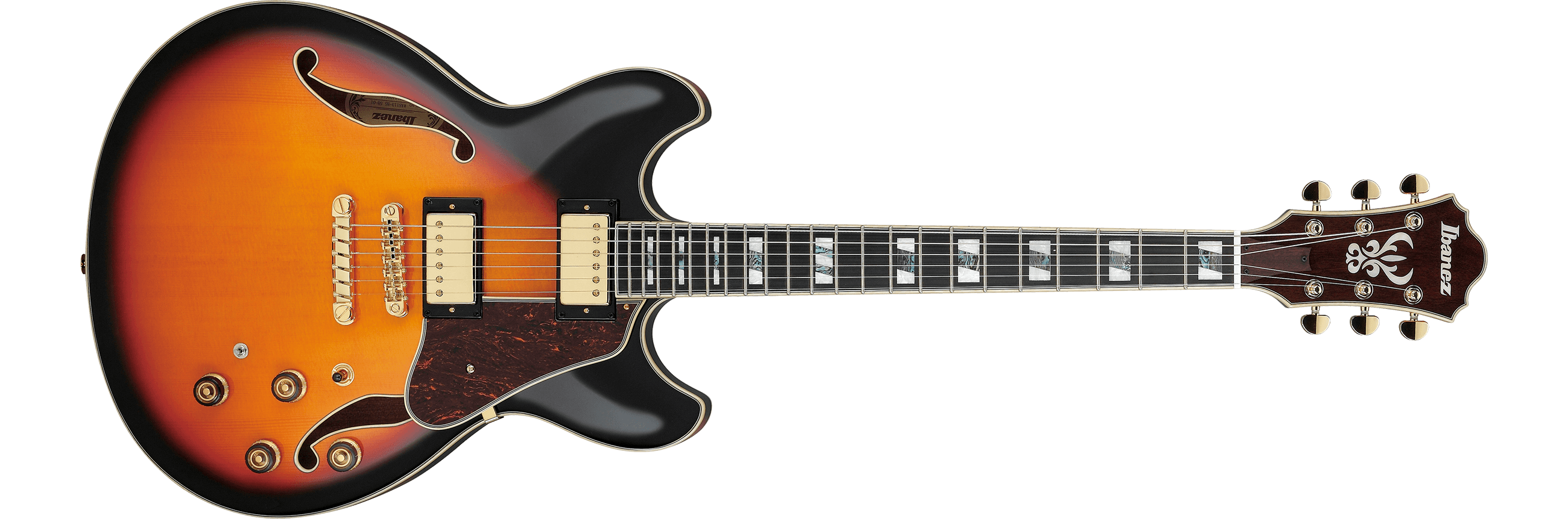 最終値下価格 2025年2月購入 Ibanez AS113-BS 約3.4kg AS113 | Ibanez Wiki | Fandom